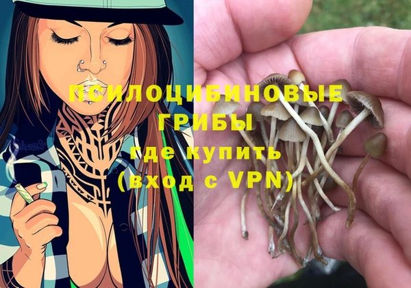 MDMA Premium VHQ Белокуриха